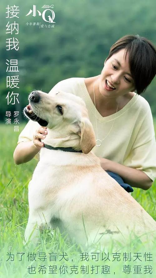 怎么做假日本群马社会福祉大学文凭毕业证